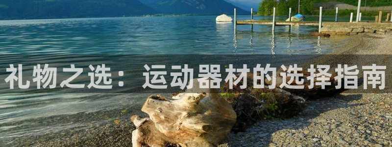 注册征途国际:礼物之选:运动器材的选择指南