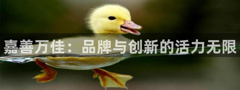 征途国际开户:嘉善万佳:品牌与创新的活力无限