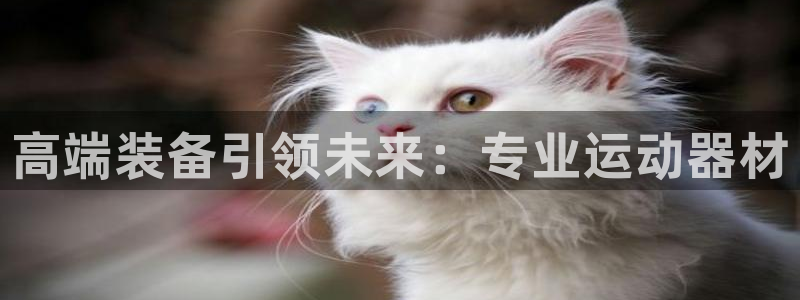 征途国际招商电话是多少啊:高端装备引领未来:专业运动器材